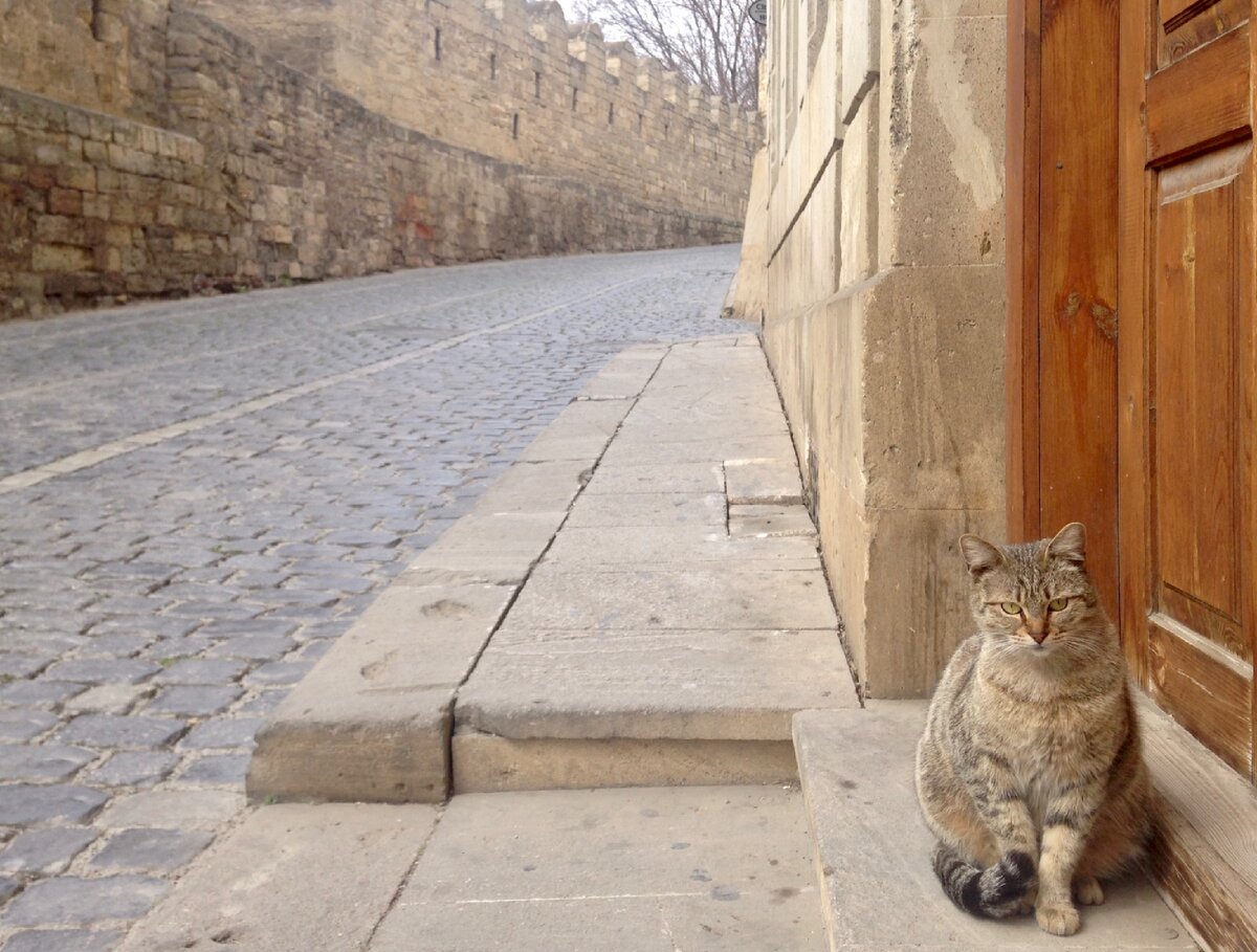 Это матрона живет в Баку и караулит свою дверь на том самом спуске, где снимали знаменитый эпизод с "Чёрт побери!"