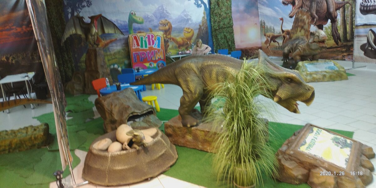 Выставка динозавров пермь колизей. Выставка динозавров в Крыму. Выставка движущихся динозавров. Выставка динозавров Тверь выставочный зал. Выставка динозавров Барнаул 2023.