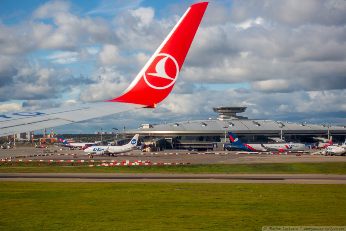 Turkish airlines внуково. Самолеты турецких авиалиний во Внуково. Новое Внуково самолет.