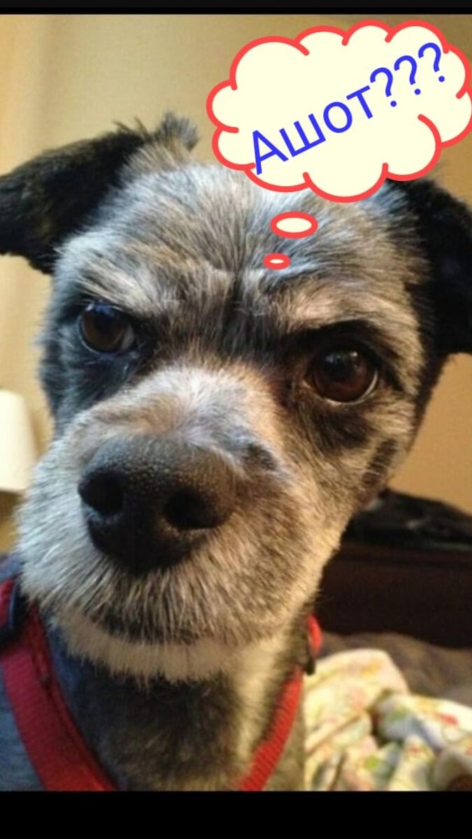 Взято из интернета...