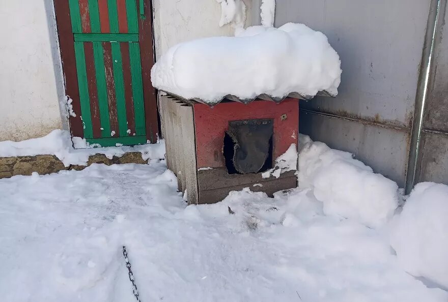 Обогрев будки для собаки