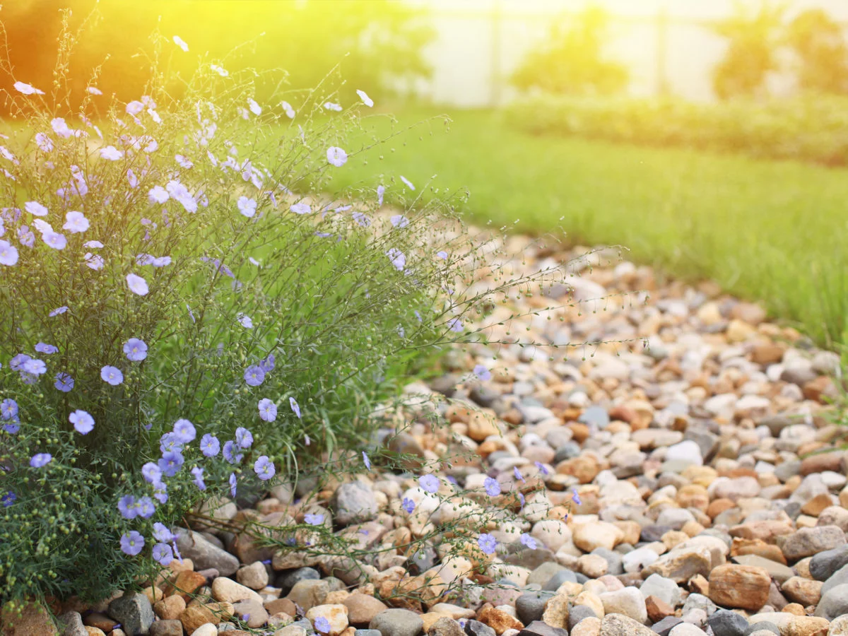 Источник https://www.southwestboulder.com/blog/diy-dry-creek-bed