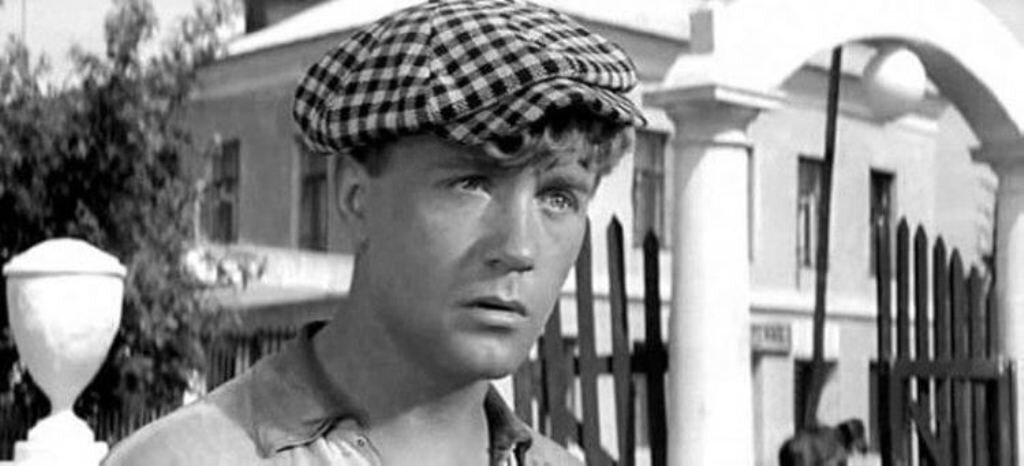 изображение из сети интернет и в свободном доступе