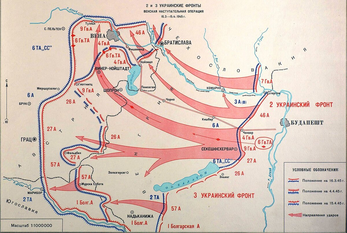 вена 1945 год