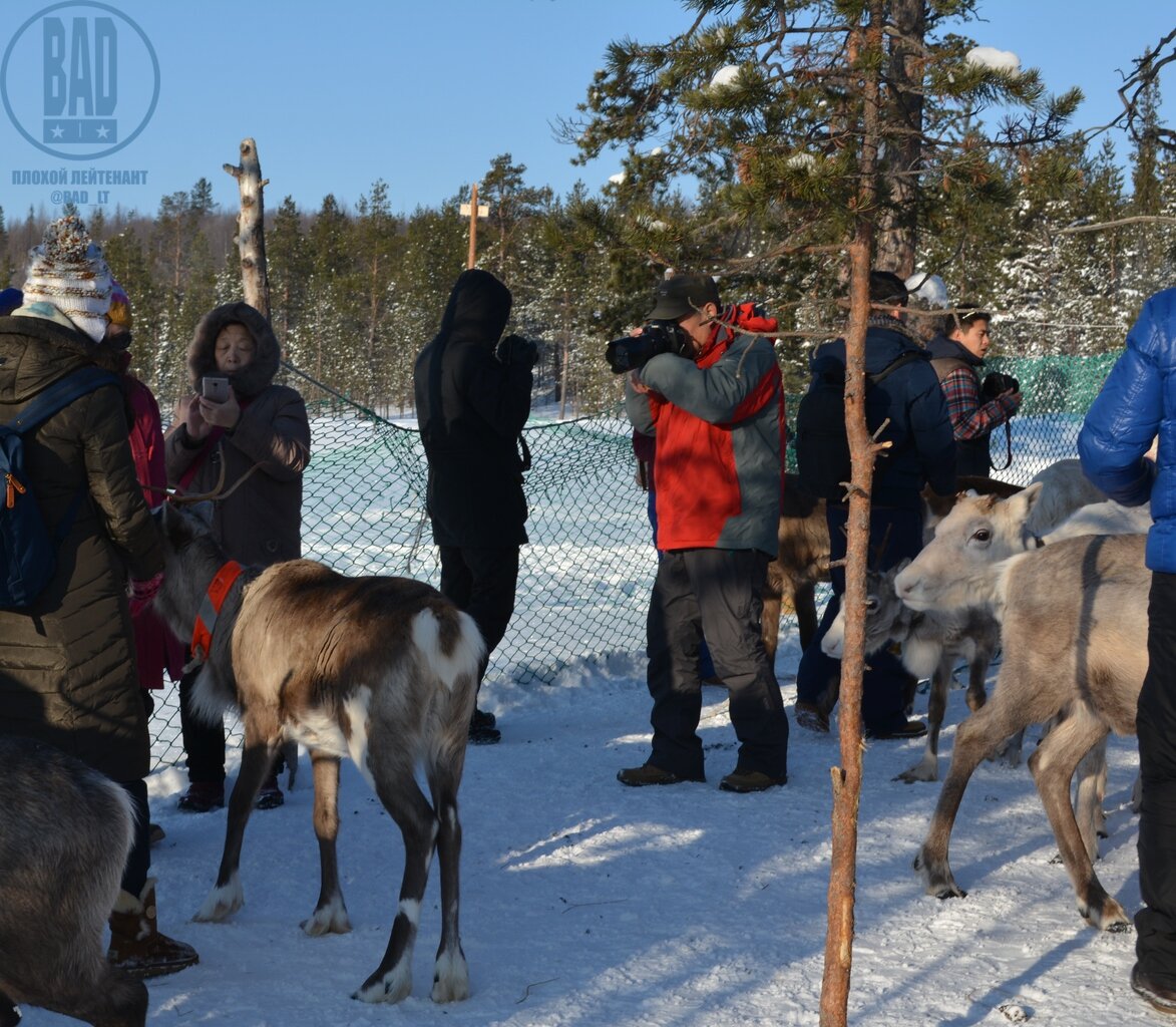 С фотокамерой - один из граждан КНР, прибывший в составе тургруппы в населенный пункт, находящийся в непосредственной близости от сурьезного военного объекта. Попал в поле зрения как лицо, проявившее совокупность признаков причастности к агентурному аппарату иноспецслужбы. Обращался с камерой небрежно, задавал много лишних вопросов. 