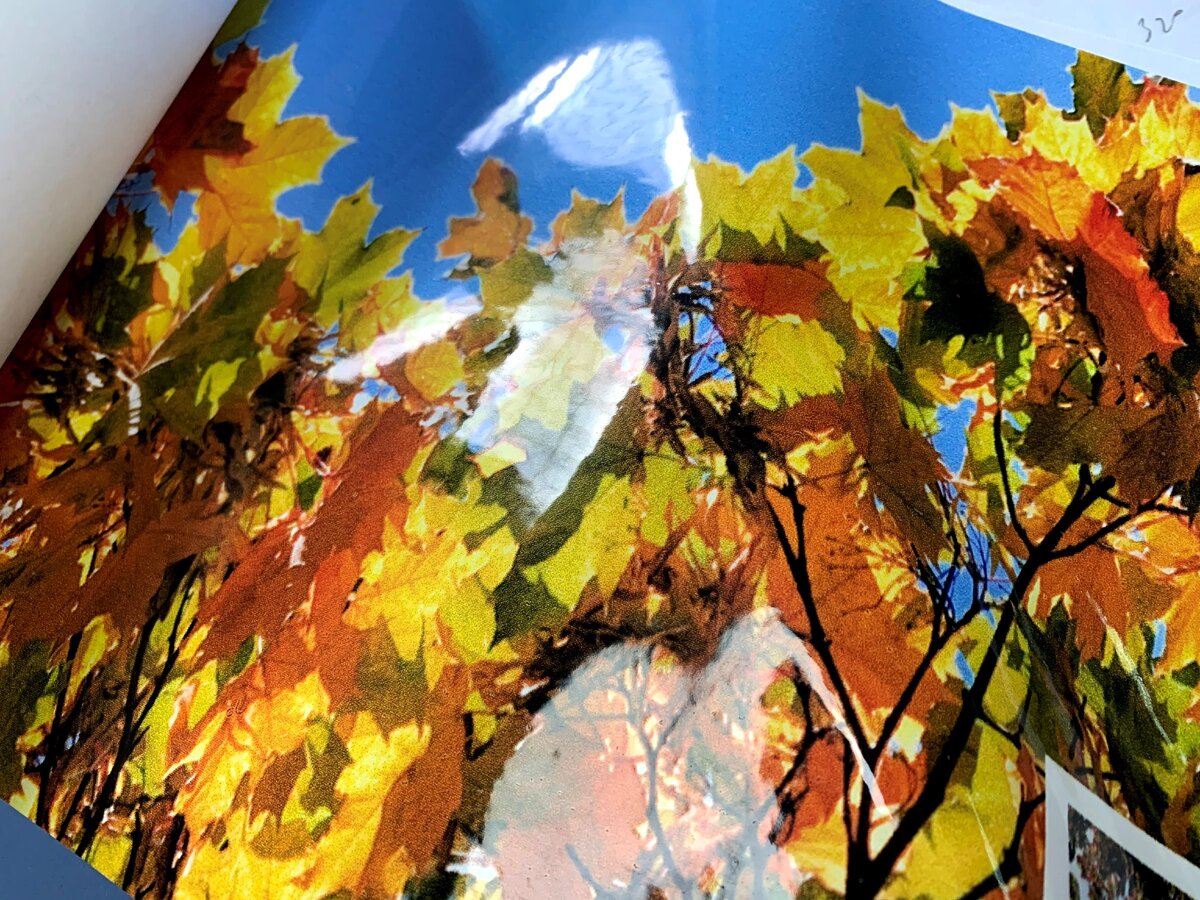 Экосольвентная печать на лаке