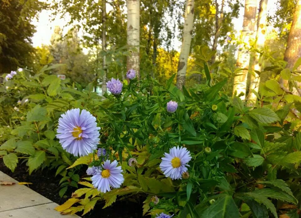 Фото: zen.yandex.ru