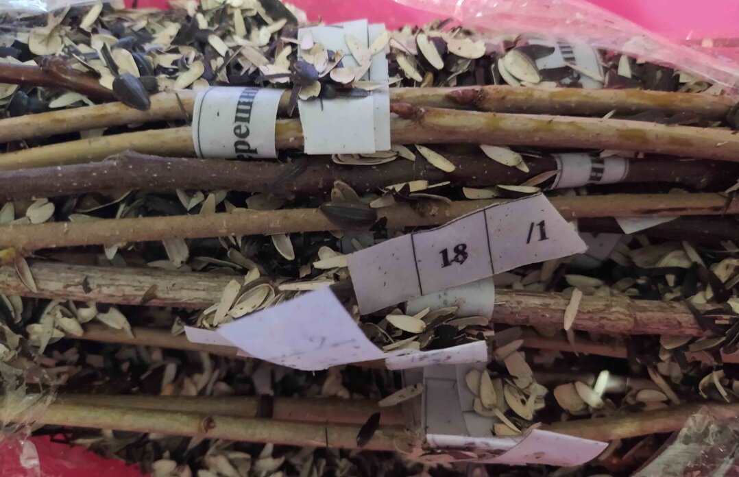 В увеличенном виде