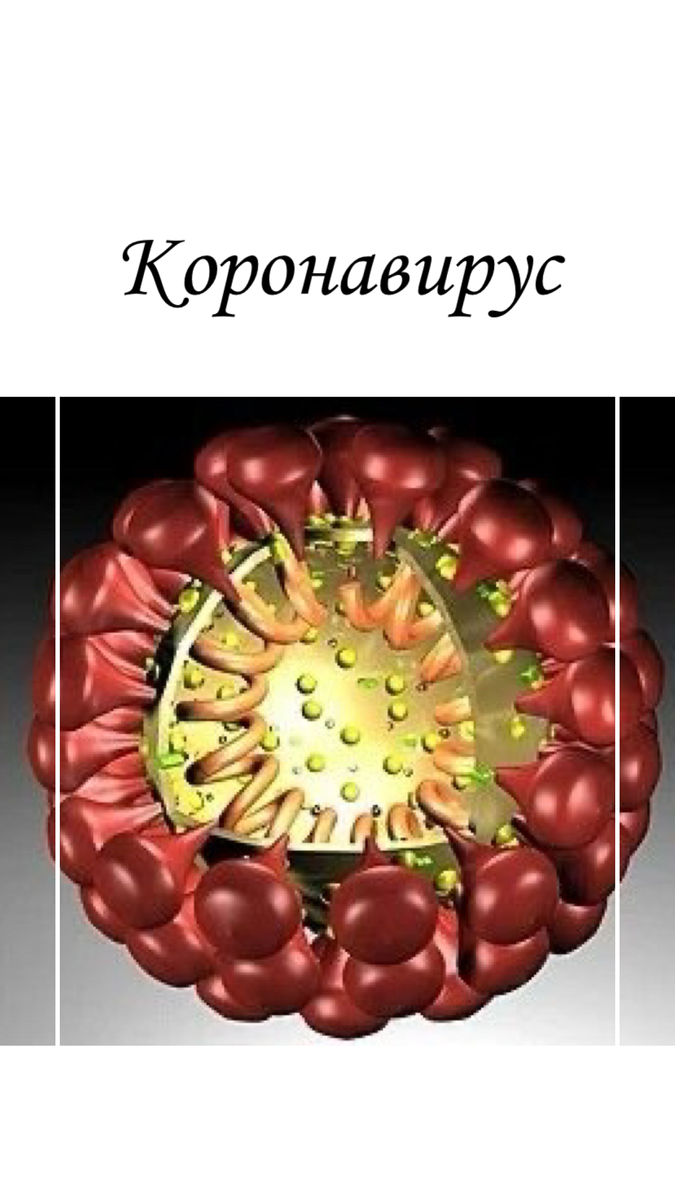 Вообщем я тут вся на эмоциях с этим КОРОНАВИРУСОМ😄, и решила написать вам полезный пост, как все-таки на «первых порах» защитить себя от инфекции🦠
⠀
Существует конечно только одна форма инфекции, которая распространяется быстрее чем вирус - это СТРАХ😱
Страх вызывает такие реакции в нашем организме, что приводит к повышению такого гормона, как кортизол - таким образом иммунитет понижается☹️
⠀
Ну а если на фоне страха и сниженного иммунитета прицепится ещё и 🦠, исход нам уже прорекламировали⚰️
⠀
Ну так что, как говорится: «предупреждён- значит вооружён», давайте защитим себя и своих близких на всех фронтах, этими простыми ПРАВИЛАМИ⤵️:
⠀
📌 Первая с инфекцией встречается слизистая воздухоносных путей, поэтому промываем нос слабосОленым раствором 2 раза в день. В аптеке таких средств полно(Аквамарис, Долфин и тд);
⠀
📌 далее на защитную стоят наши легкие - жировой эпителий, выстилающий каждый воздушный мешочек🎈. Едим больше жиров - 🍗🥑🐏🐖🐠, обязательно принимаем Омега-3;
⠀
📌 для иммунных клеток нужен белок - едим больше белка 🦐🐓🥩🍤;
⠀
📌 ВИТАМИНКИ:
Витамин С - от 1000мг, витамин D3 - от 5000Ед, витамин А - от 10.000Ед.;
⠀
📌 больше ВОДЫ - 30мл на 1 кг веса, минимум в сутки☝🏻;
⠀
📌 физические упражнения🏃🏼‍♀️⛷🏋🏼🤸🏼‍♂️🤾🏼, контрастный душ🛁🚿;
⠀
📌 дома используем увлажнитель, если его нет, ставим миску с водой на батарею💧;
⠀
📌 регулярно проветриваем помещение;
⠀
📌 и конечно же прогулки на свежем воздухе☺️☝🏻🌞;
⠀
📌 часто мыть руки, лучше как хирурги делают - по локоть;
⠀
📌 избегать места скопления сопливых людей👃, ведь маски спасают только на 15 минут, далее на них образуется пленка и от неё толку ноль😐;
⠀
📌 полноценный сон, 7-9 часов и для поддержания кортизола в норме можно подключить медитации 😄🧘🏼‍♀️
_________________
Знали об этих методах защиты? Что из этого уже применяете?😎