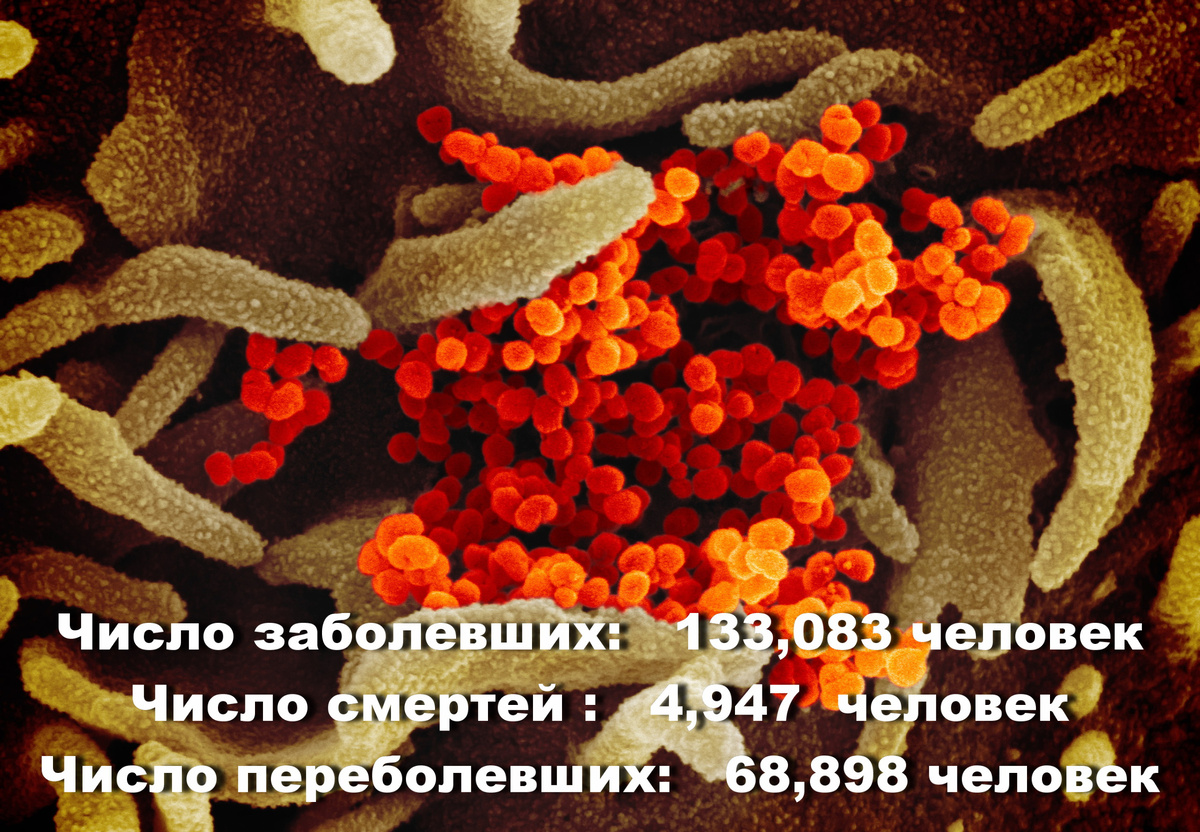 Национальный институт аллергии и инфекционных заболеваний США