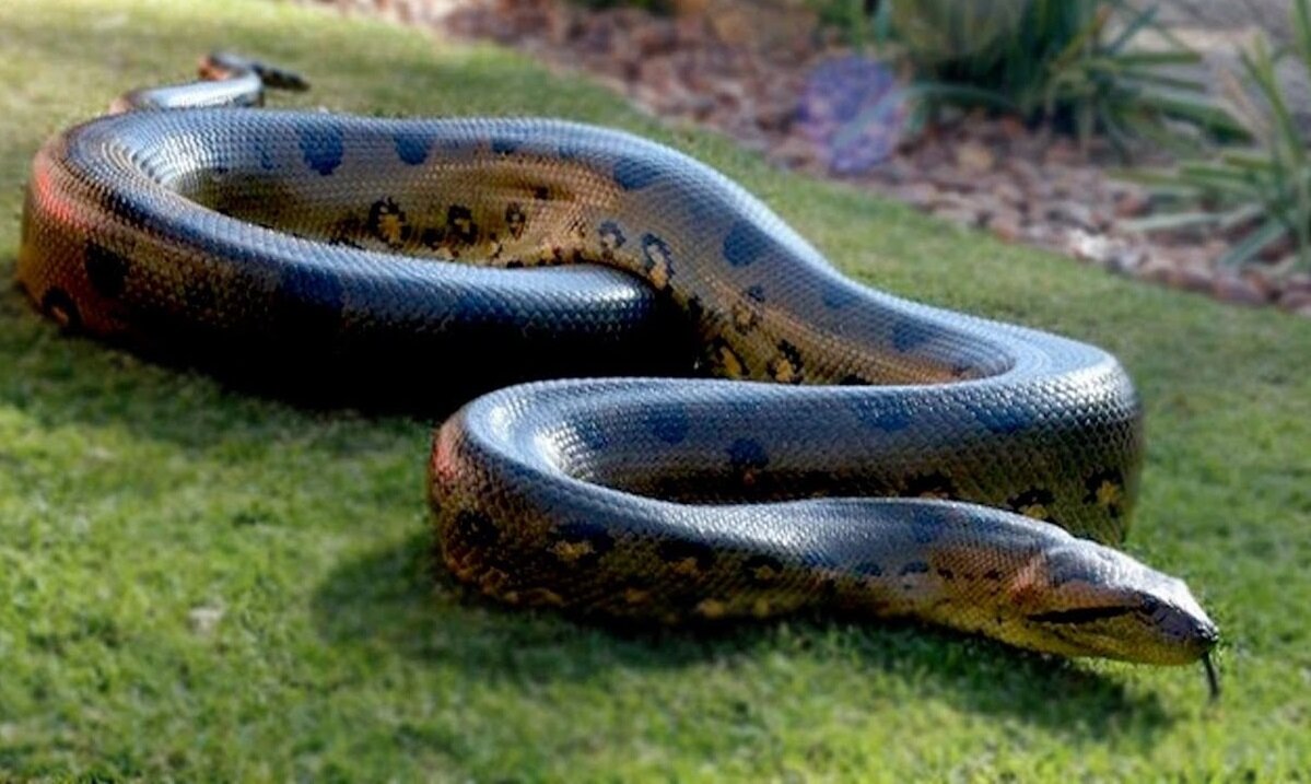 Фото из открытых источников  