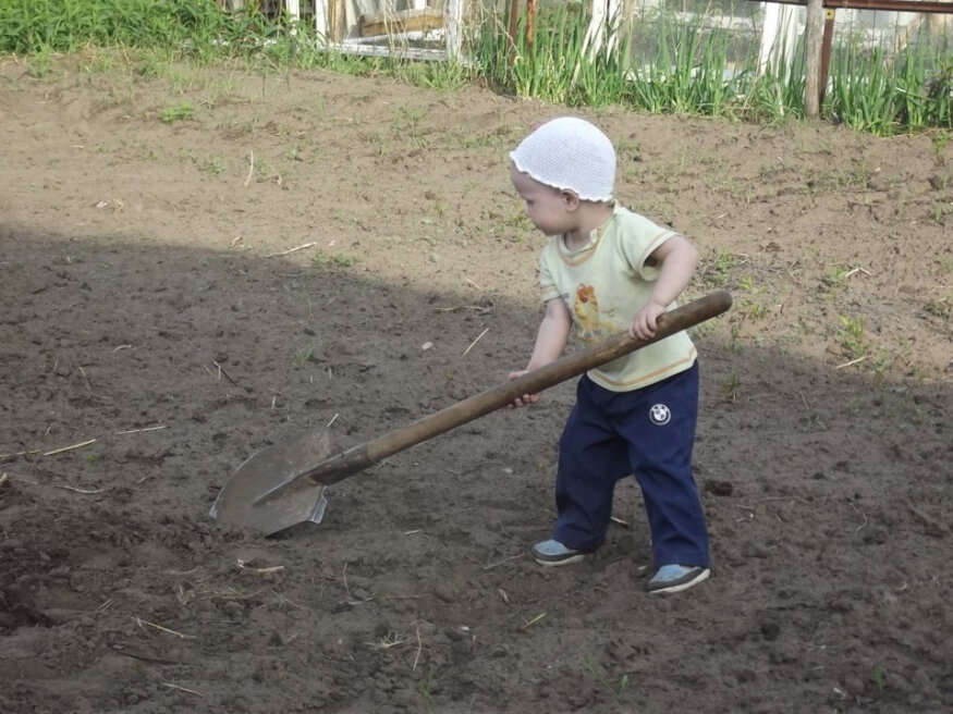18 марта тайно выкопай три ямки в огороде. | Новостной Дайджест | Дзен