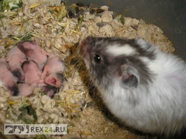  Фото: соцсети