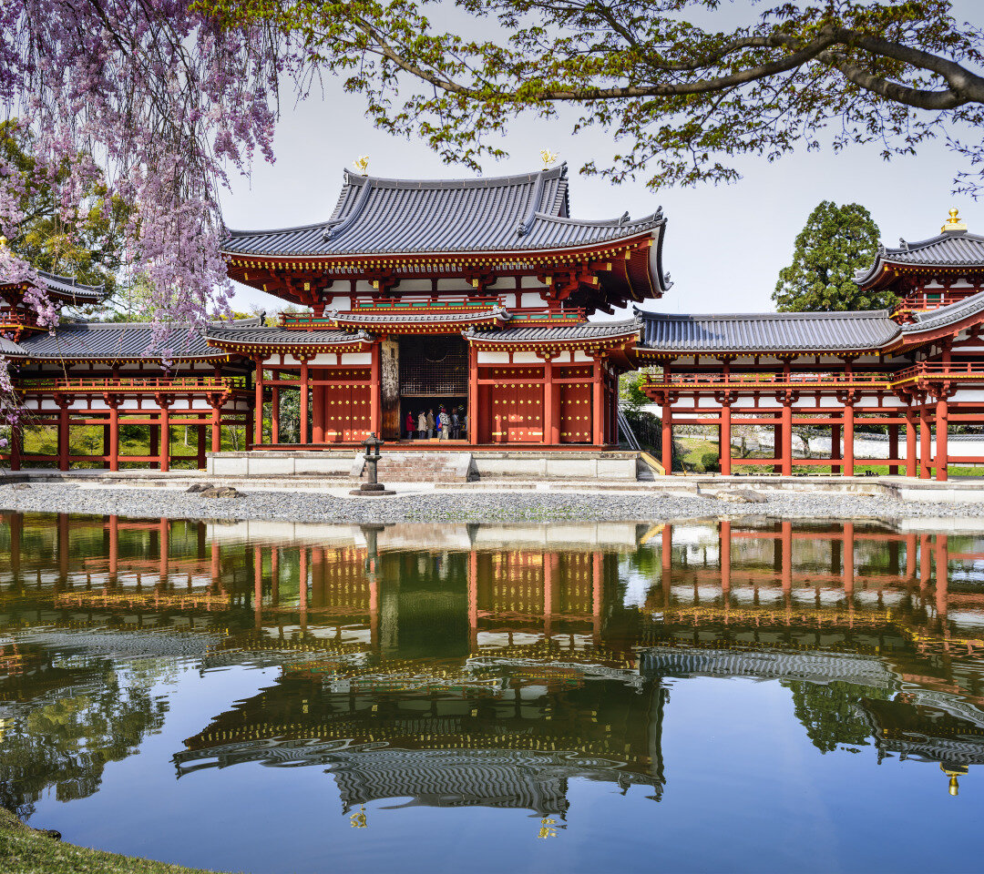 Источник изображения: Яндекс картинки