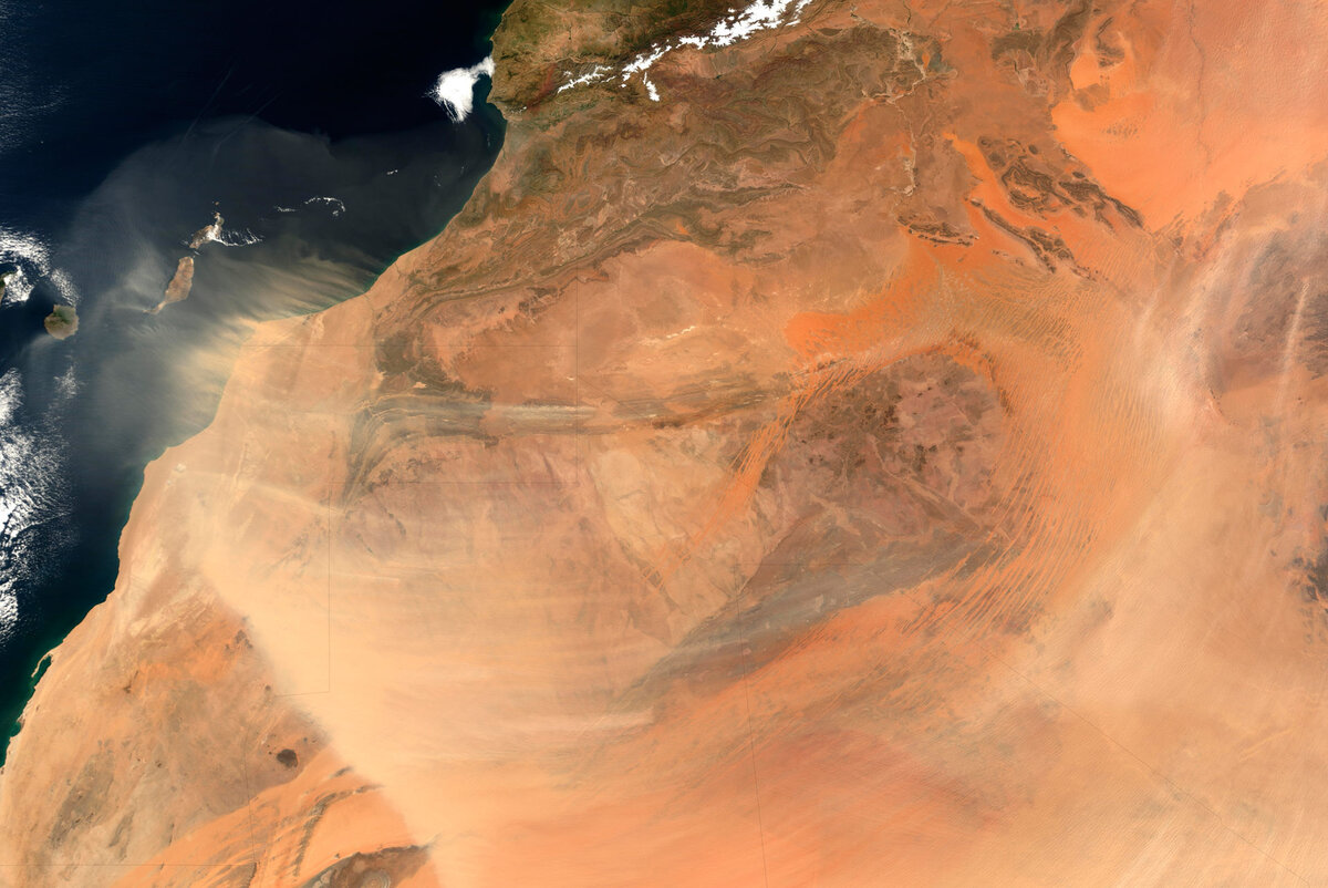 Фото: NASA / Сахара из космоса
