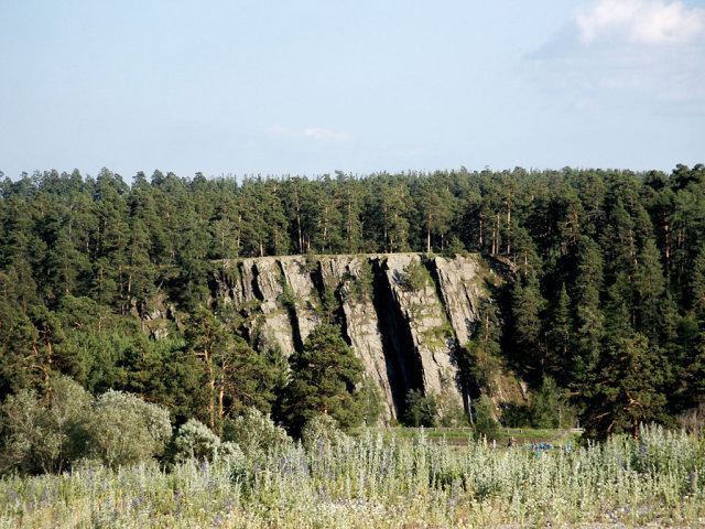 Лес и скалы