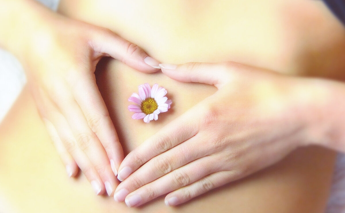 фото с сайта pixabay