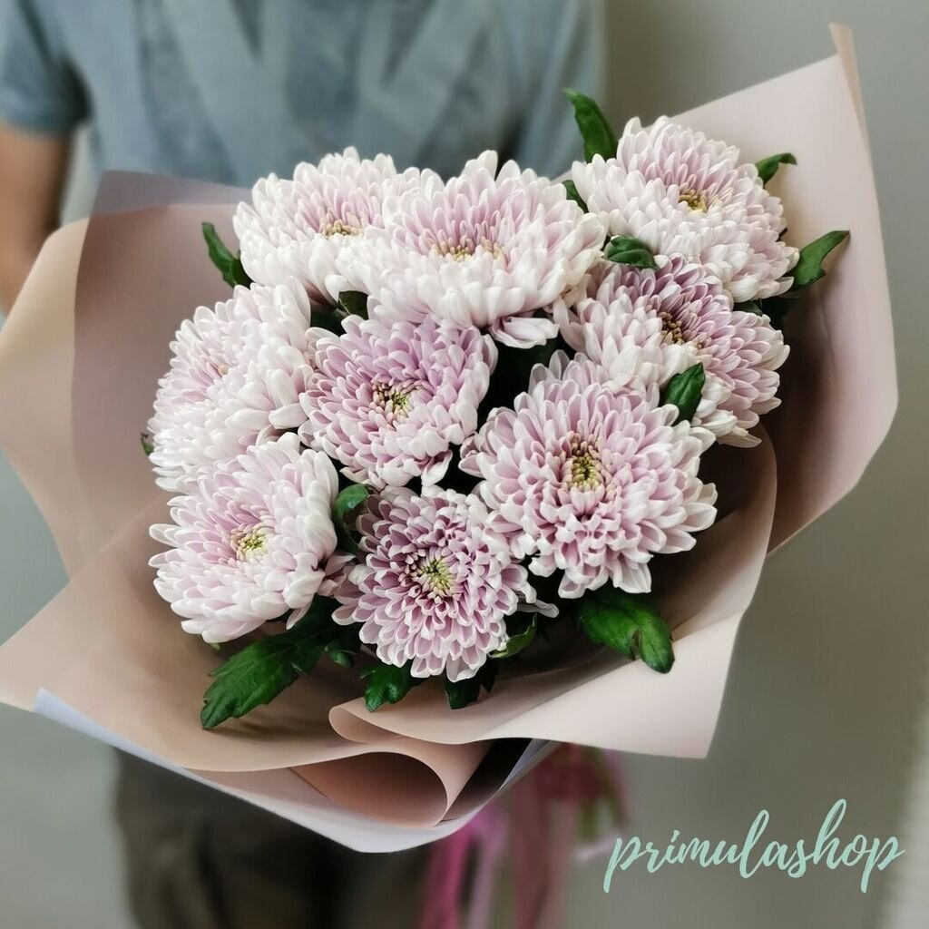 Шикарный букет-облако из розовых одноголовых хризантем 