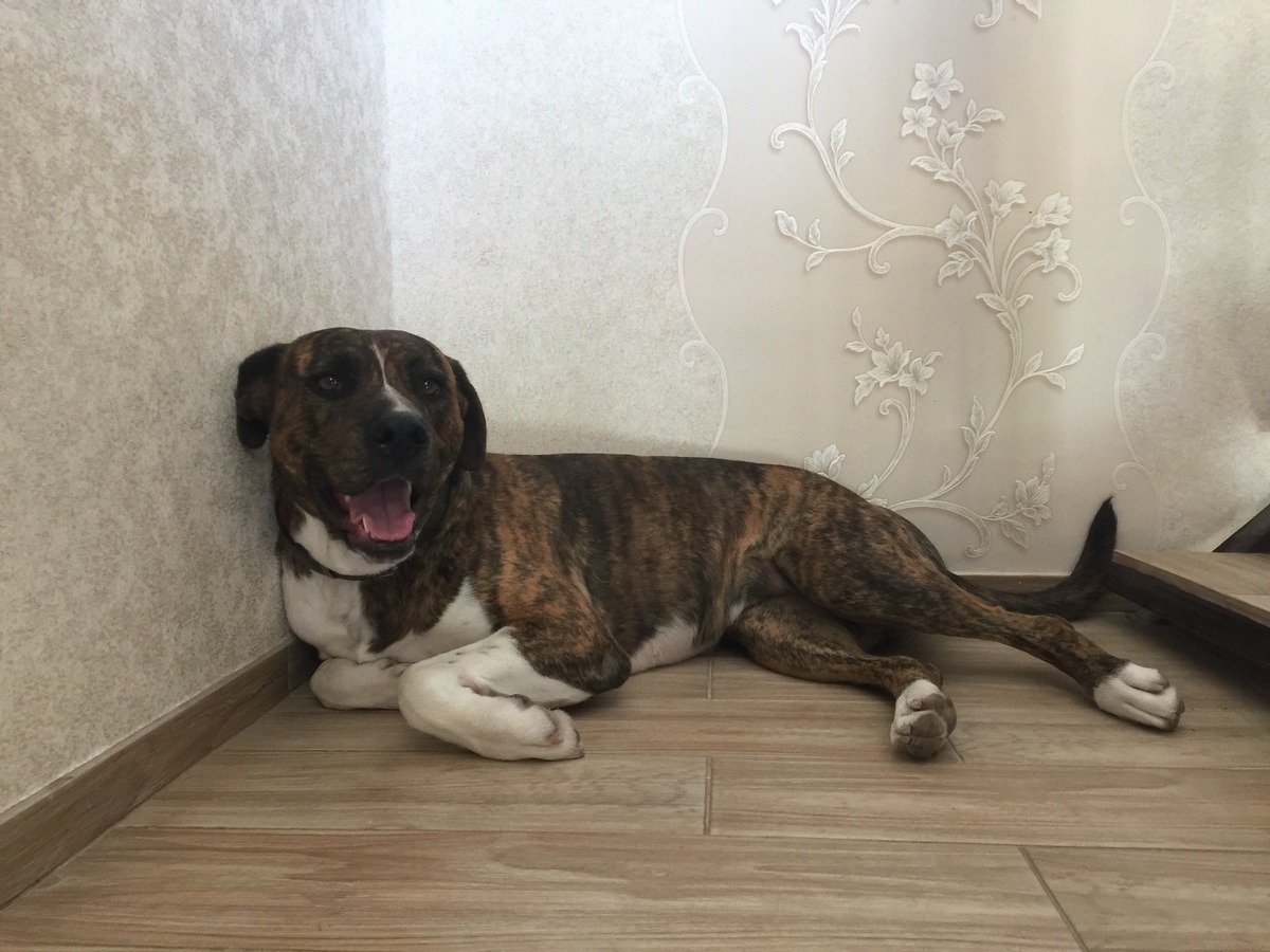 Фото из личного архива.