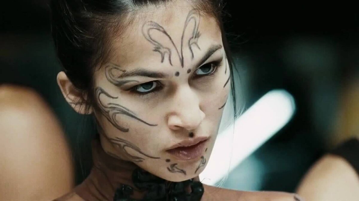 фото из свободного доступа