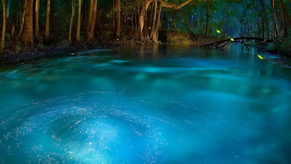 Волшебное озеро слушать. Волшебный пруд. Таинственный пруд. Волшебный Лесной пруд. Пруд ночью.