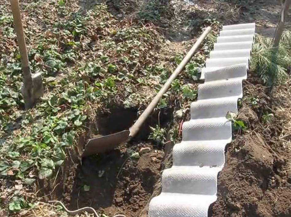 Фото из личного архива автора