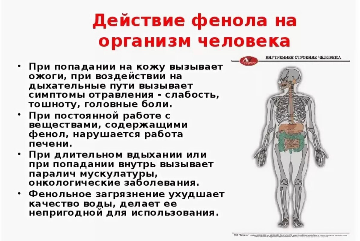 Как оно действует на человека. Влияние фенола на организм человека. Как действует фенол на организм человека. Фенол воздействие на организм человека. Воздействие формальдегида на организм человека.