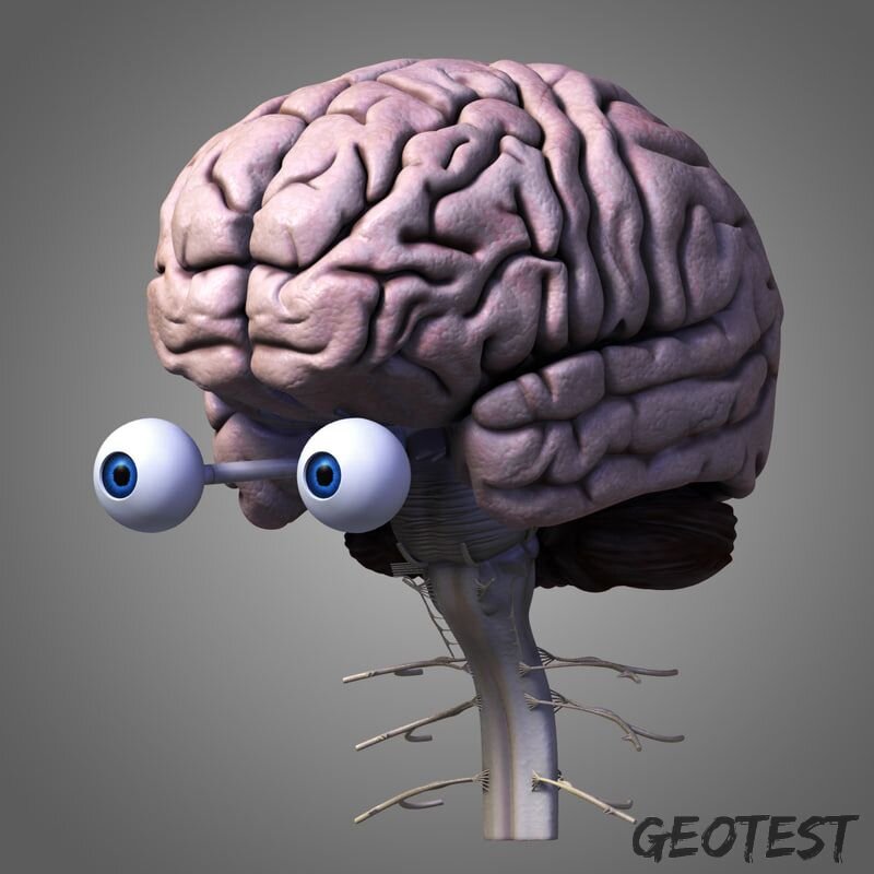 фото с открытого сервиса yandex.by