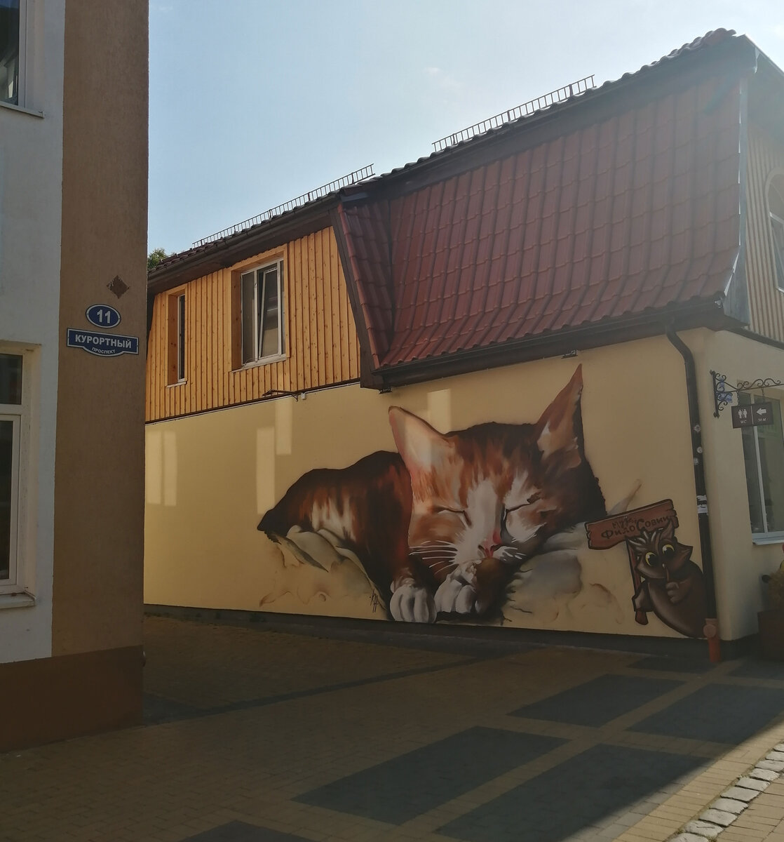Кот, который спит