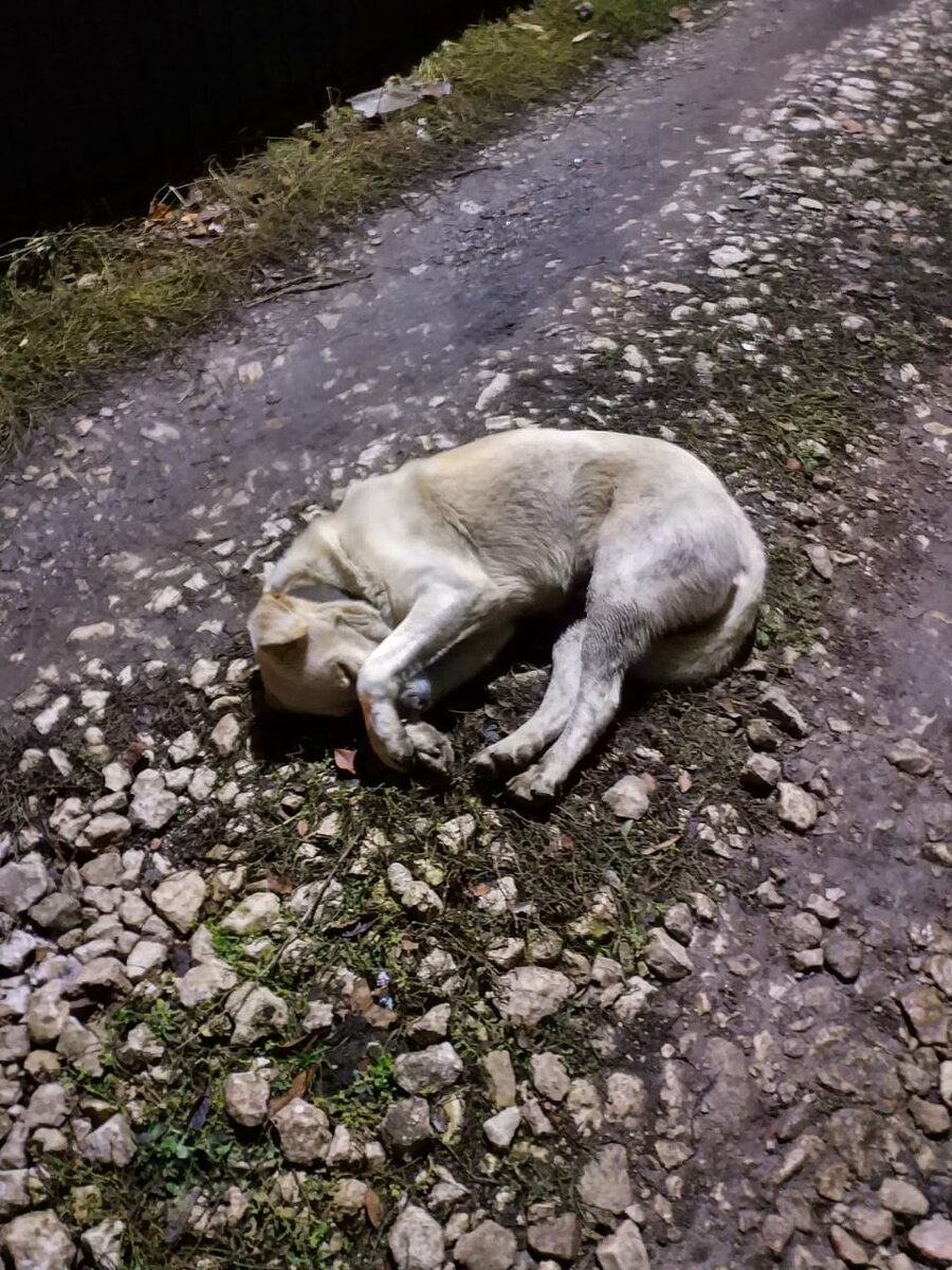 грусть-тоска