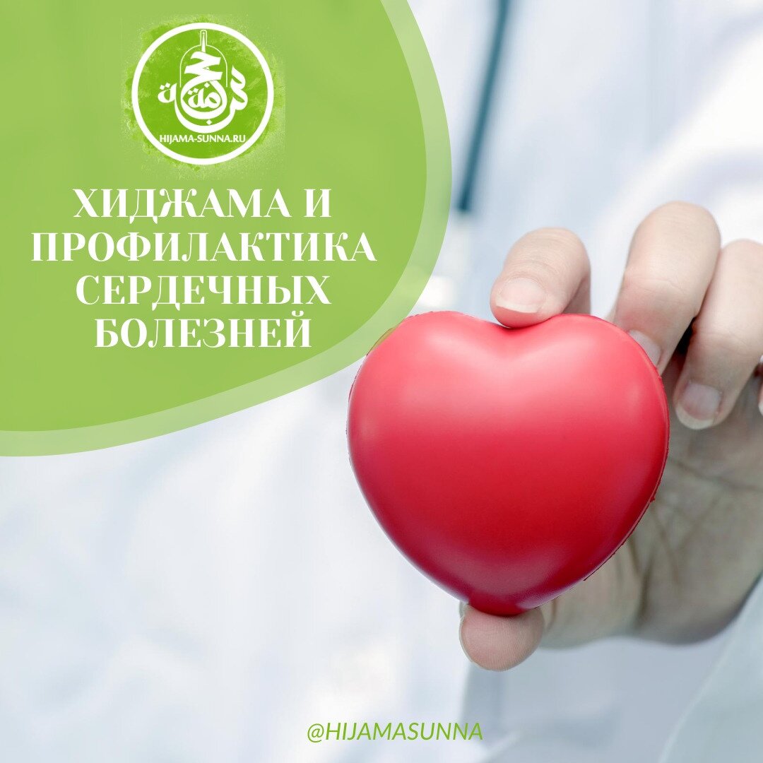 Ишемическая болезнь сердца является самой распространенной среди людей. Эта болезнь включает в себя инфаркт миокарда, стенокардию и коронарную остановку сердца. 
 
Во время инфаркта кровь, проходящая по коронарным артериям блокируется, сердце перестает получать питание и начинает отмирать. Стенокардия же происходит из-за недостаточного кровоснабжения сердечной мышцы. Оба состояния характеризуются дискомфортом или сильной болью за грудиной. 
 
Наиболее склонными к стенокардии и инфарктам являются👇 
🔻Мужчины 
🔻Люди с лишним весом 
🔻Гипертоники 
🔻 Люди, зависящие от курения, алкоголя, наркотических средств 
🔻 Любители фаст-фудов и вредной еды 
🔻 Люди с малоподвижным образом жизни 
🔻 Люди, чей образ жизни постоянно подразумевает стресс 
🔻Люди с сахарным диабетом. 
 
♥ При ишемических заболеваниях важно придерживаться диеты, поддерживающей сердце. 
 
♥ Необходимо увеличить содержание линолевой кислоты, липотропных веществ, пищевых волокон, калия, магния за счет увеличения в рационе растительных масел, морепродуктов, овощей, фруктов, творога. 
Например, калий можно найти в рыбе, черной смородине, картофеле, петрушке, абрикосе, черносливе и изюме. 
 
♥ Нужно включить в рацион продукты, содержащие йод. Он есть в морской капусте, мидиях, морской рыбе, кальмарах и креветках. 
 
♥ Нормализовать содержание белков. 
 
♥ Вести здоровый образ жизни, поддерживать свою физическую форму. 
 
♥ Отказаться от вредных продуктов и привычек. 
 
💉 В качестве профилактики сердечных заболеваний хорошо подойдет хиджама. Хиджама очищает кровь и сосуды, препятствует застойным явлениям, способствует восстановлению оптимального потока крови к сердцу и органам. 