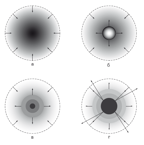 Фото из Интернета