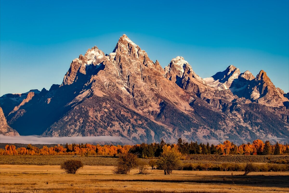 Горы - родной дом не только для гномов. Источник фото pexels.com