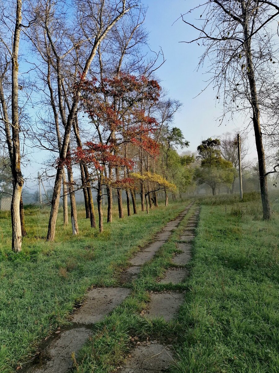 очень красивый пейзаж я наблюдал, когда шёл на осеннюю рыбалку 😍