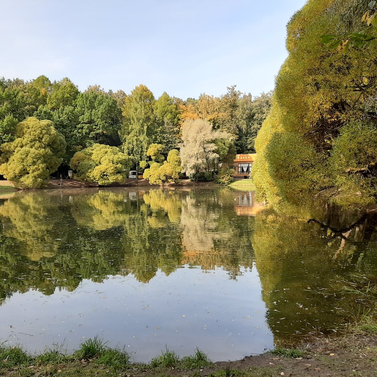 суворовский парк кунцево