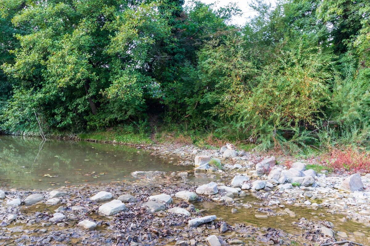 У пенсионеров из Подмосковья пользуются спросом дома в горах Кубани. Решила  посмотреть стоит ли купить дом в Дефановке | Южная жизнь | Дзен