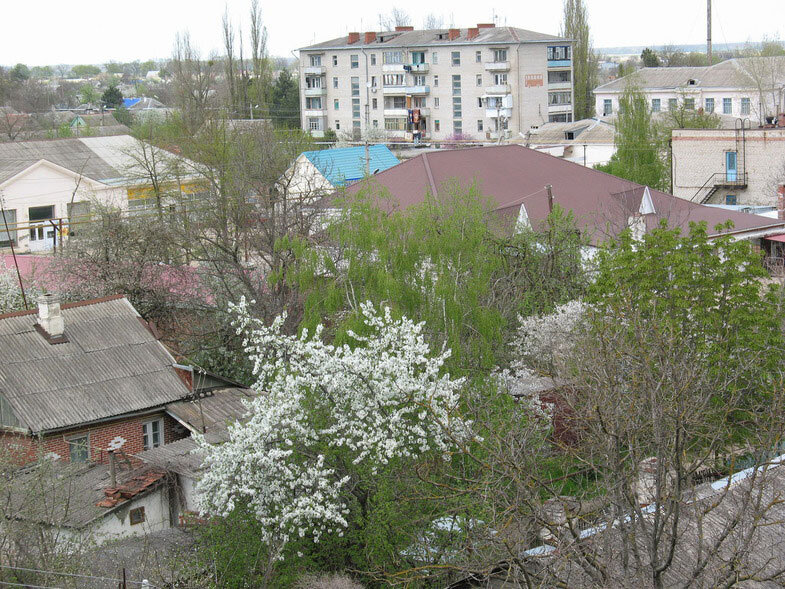 Погода в ахтырском абинский на 10. Ахтырка Краснодарский край. Поселок Ахтырский Краснодарский край.