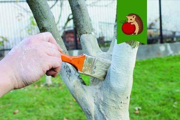 Фото: https://aniko-gas.ru/wp-content/uploads/2-184.jpg