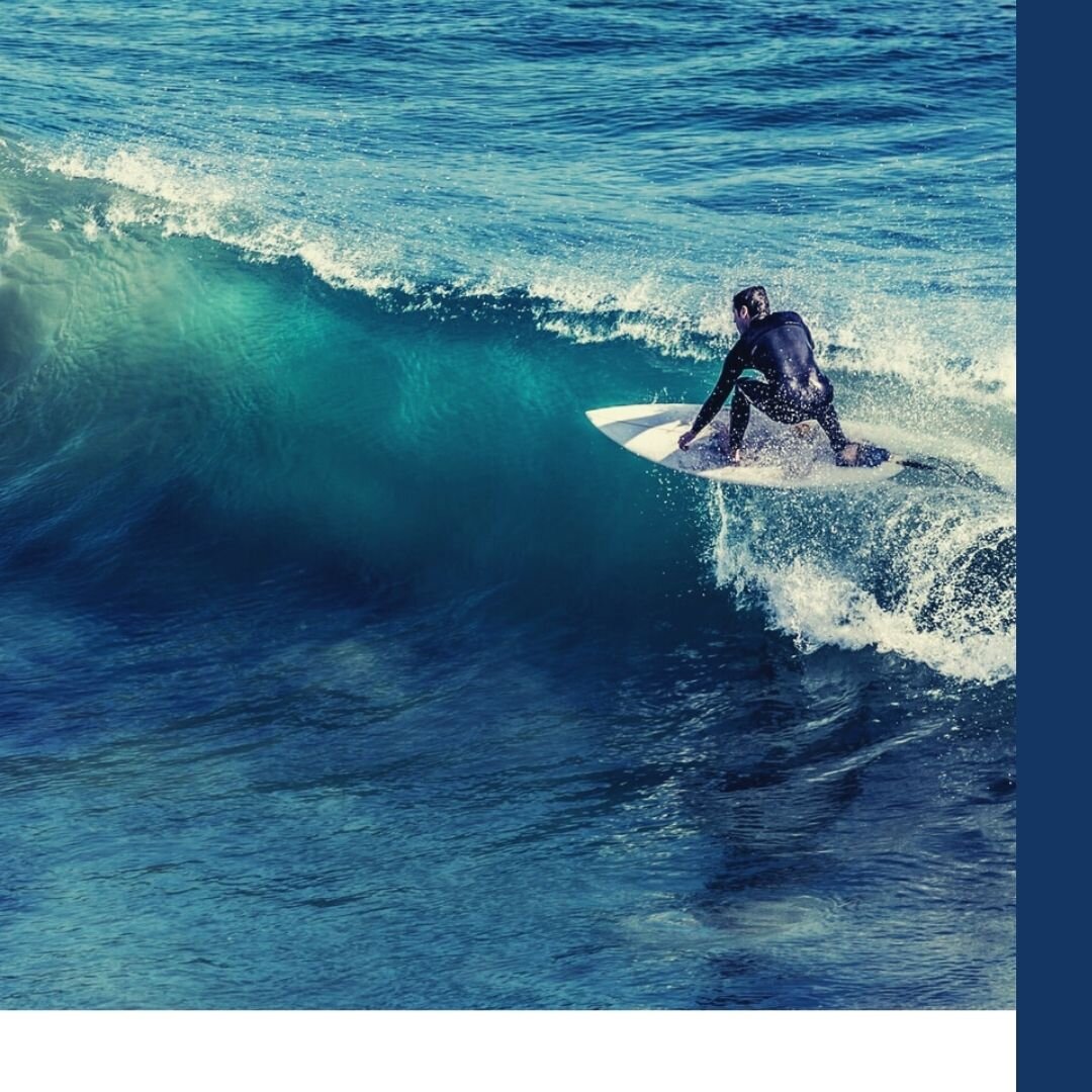 Дизайн выполнен в редакторе Canva. Фото из открытых источников www.unsplash.com