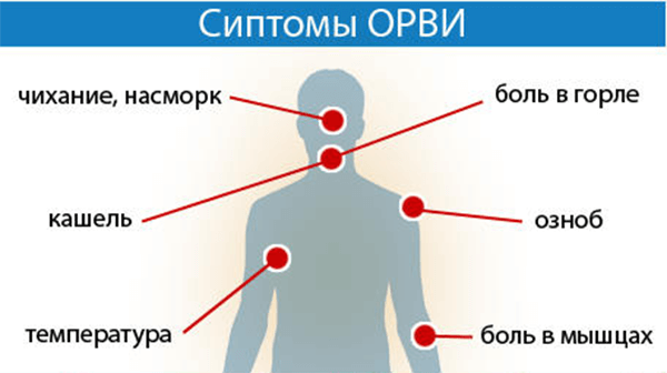 Кашель при орз