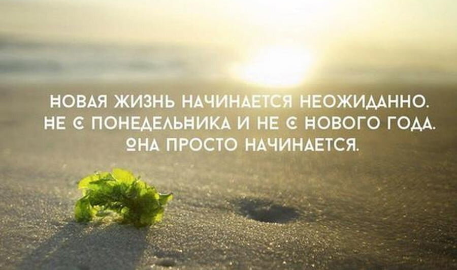 С какого понедельника начнёшь новую жизнь? | |Эхо современности| | Дзен