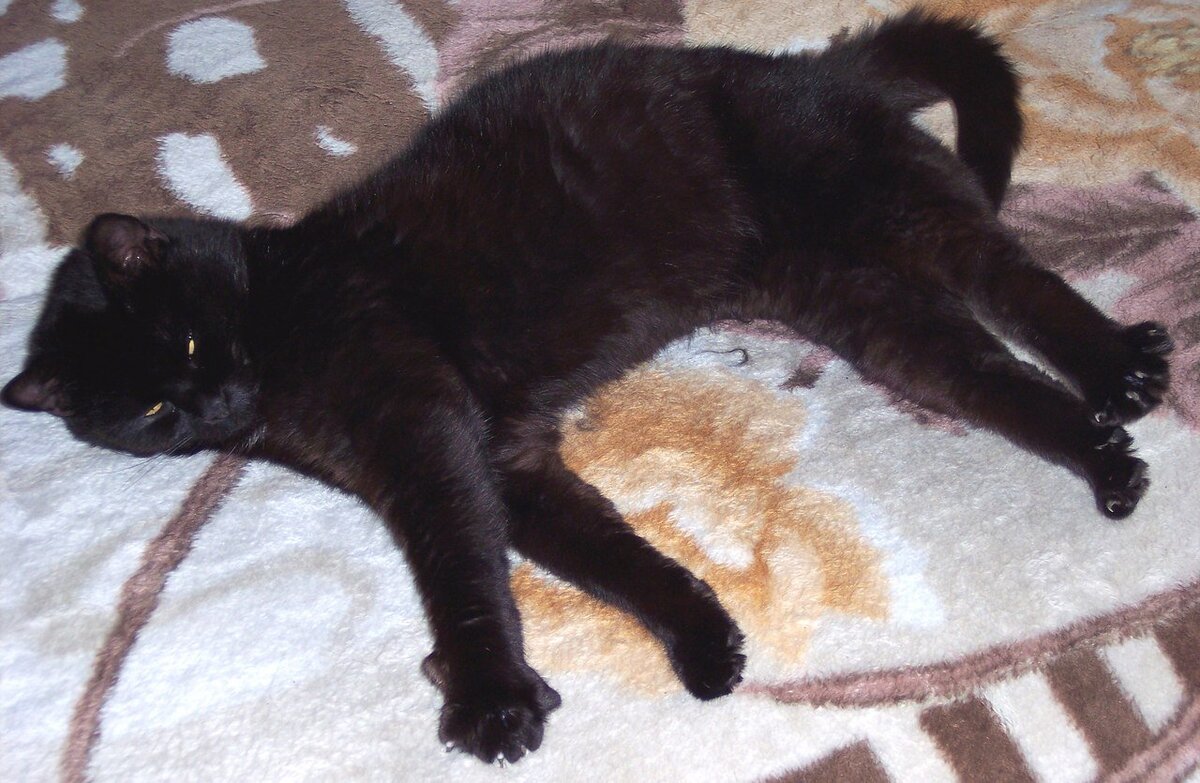 Фото автора