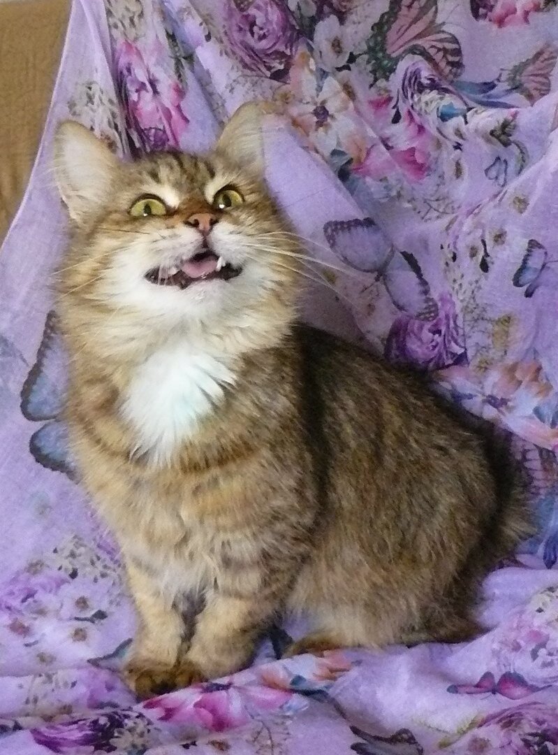 Улыбку - всем, сердце - одному