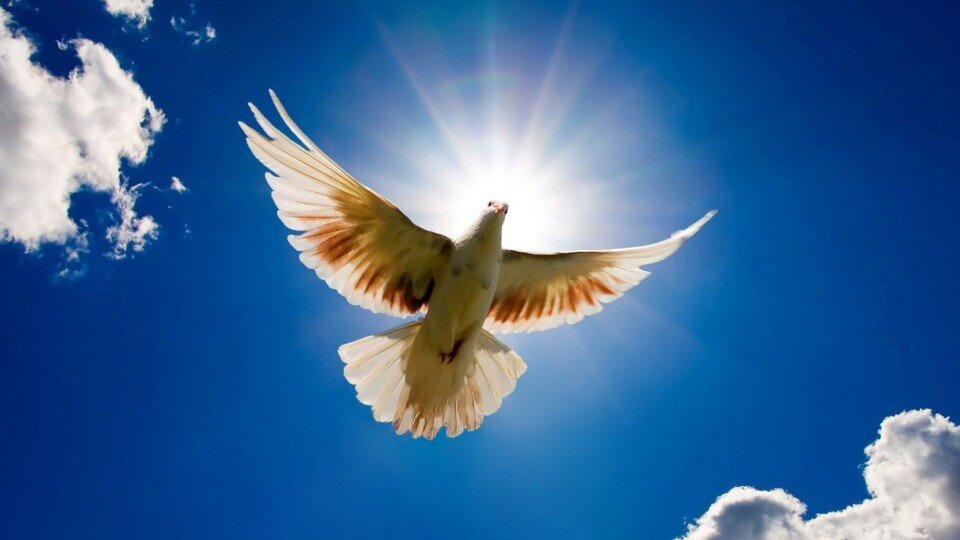 Фотография с сервиса Яндекс.Картинки