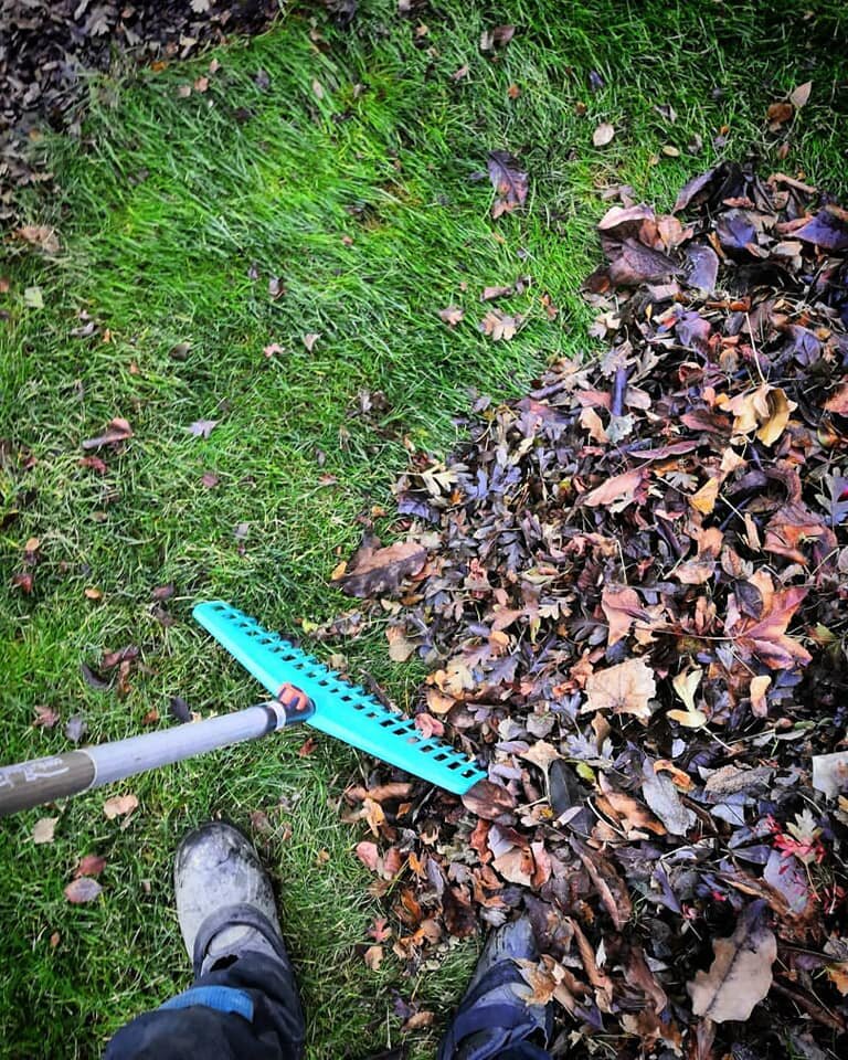 Январское развлечение