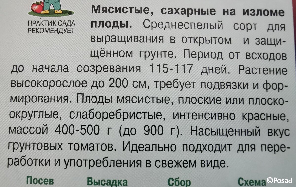 Это Алтайский богатырь. Если повезёт.