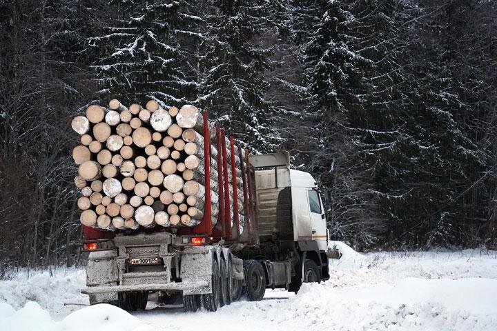 Фото: pixabay.com 