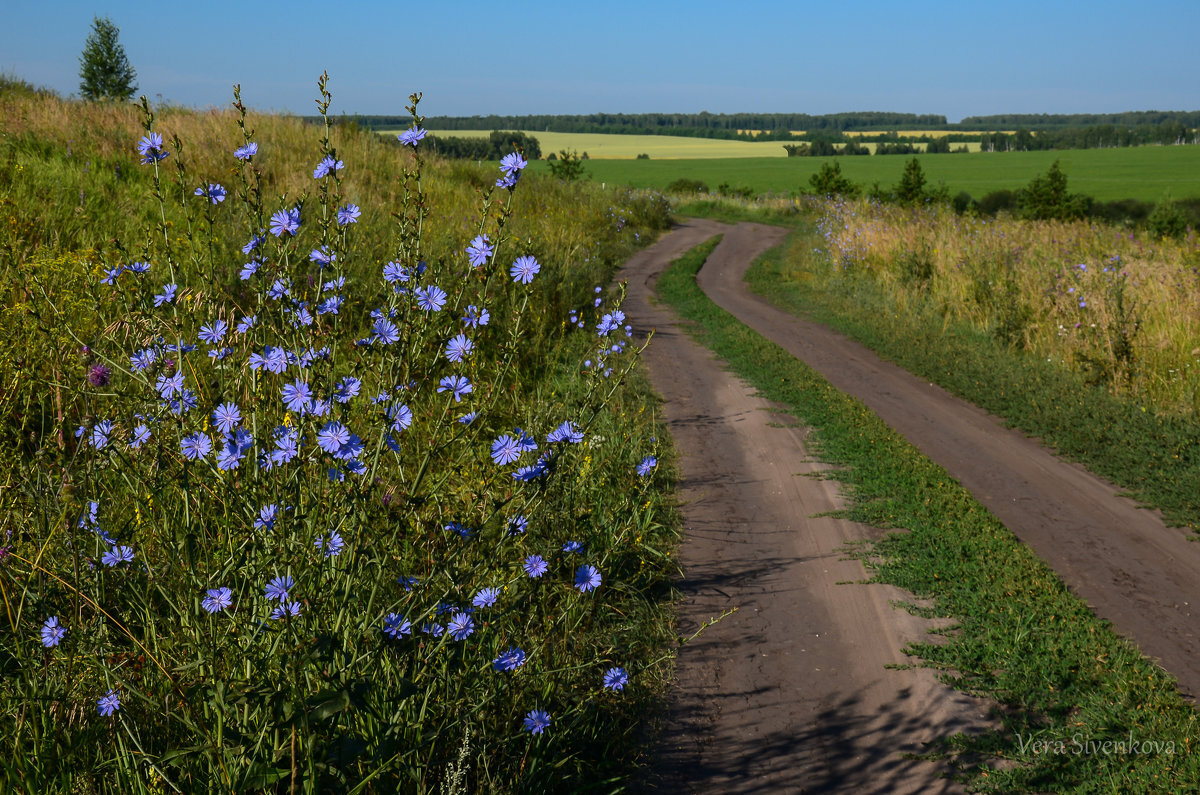 Раньше здесь был аэродром.