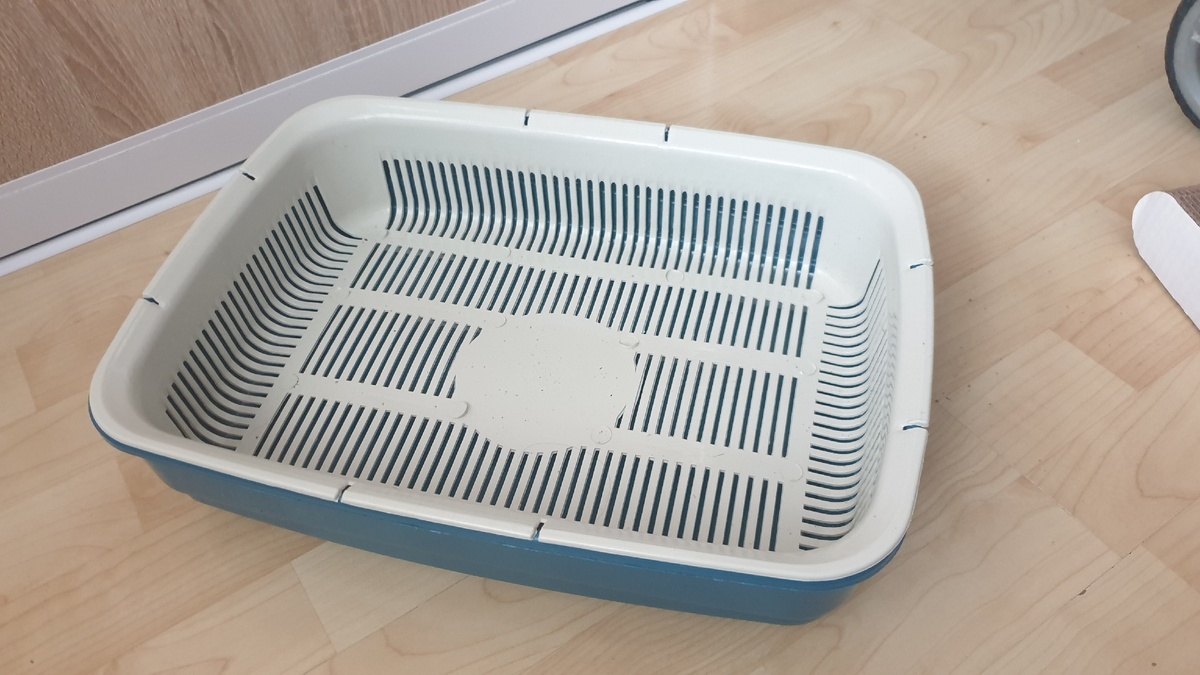 Этот оказался слишком большим для маленького котенка