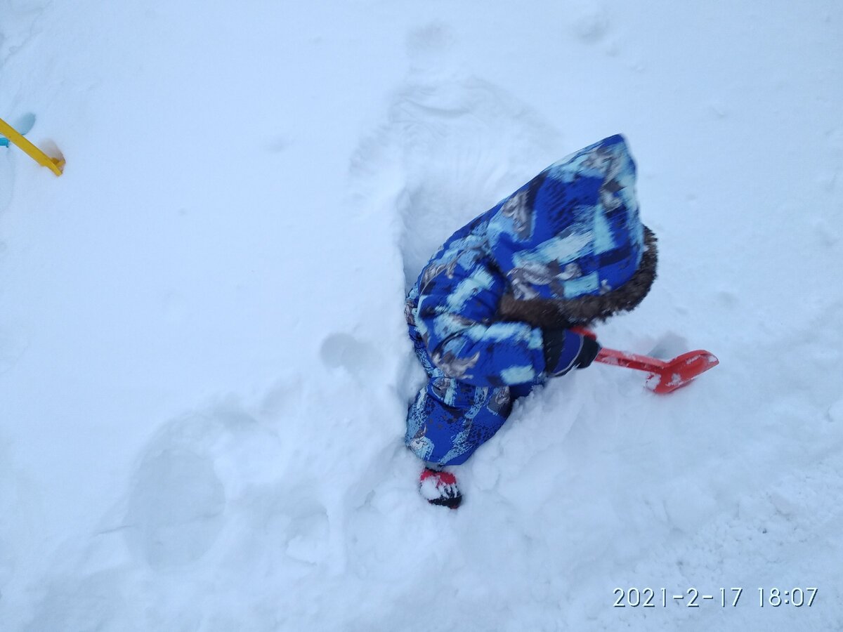 Сидит в сугробе